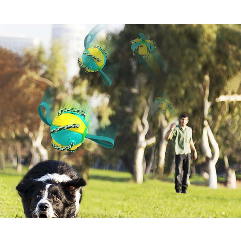 Juguete Interactivo para Perros 3 en 1 - Pelota, Cuerda y Disco Frisbee Rebotador