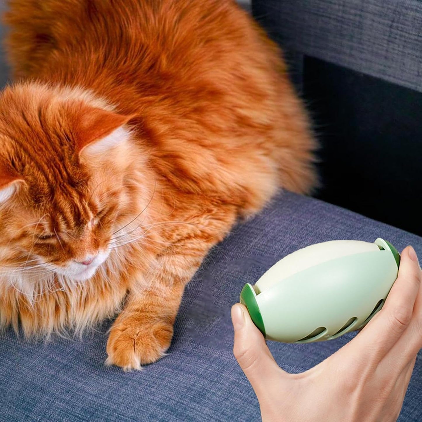 Cepillo quitapelos de mascotas, herramienta reutilizable para muebles y alfombras.