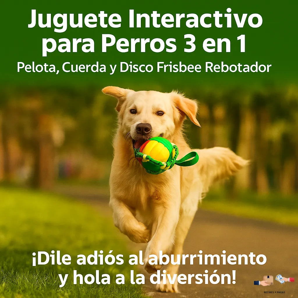 Juguete interactivo para perros 3 en 1: pelota, cuerda y disco frisbee rebotador.