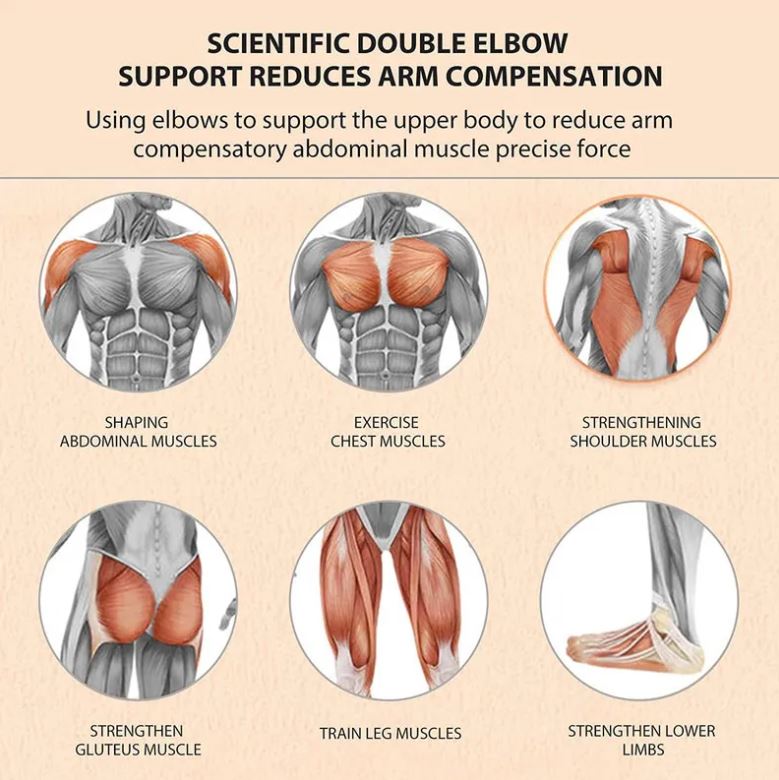 Rodillo Abdominal Doble Rueda con Monitor – Soporte para Celular y Control de Ejercicio